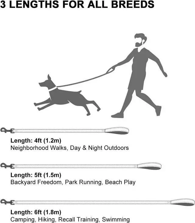 Alt view image 7 of 7 - Taglory Reflective Dog Leash for Small Dogs, 3/4in x 4ft, Hot Pink | Ideal for Night Walking, Strong for Sudden Pulls, Lightweight & Gentle on the Neck, Soft Padded Handle