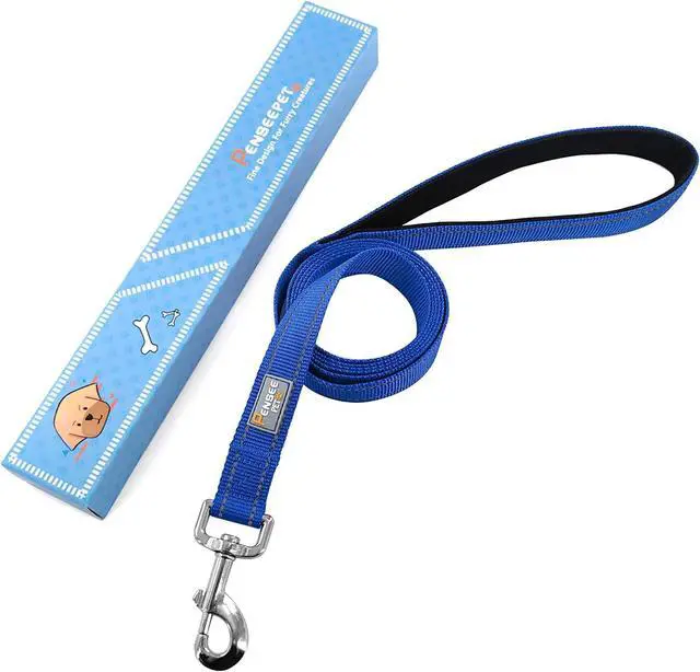 Alt view image 6 of 6 - 6 FT Basic Dog Leash for Medium Dogs,Padded Handle,Blue | Padded Handle,Metal D-Ring,Heavy Duty Nylon Webbing, for Walking & Training