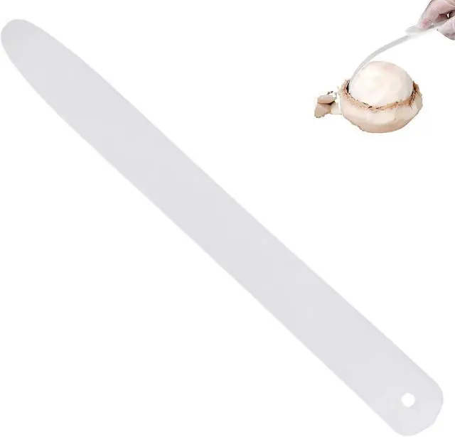 Main image of Coconut Meat Scraper, Coconut Opener, Soft and Flexible Coconut Egg Tools Kitchen Utensils for Coconut Melon Ballers Melon BallersGadgets for Coconut Love