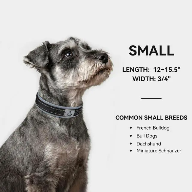 Alt view image 5 of 6 - Joytale Reflective Dog Collar for Small Dogs with Wide Padding, Black | Soft Cushion Reduce Neck Strain, Night Safety Walking, Metal Buckle and Adjustable Eyelets, Separated Dog ID Tag Ring
