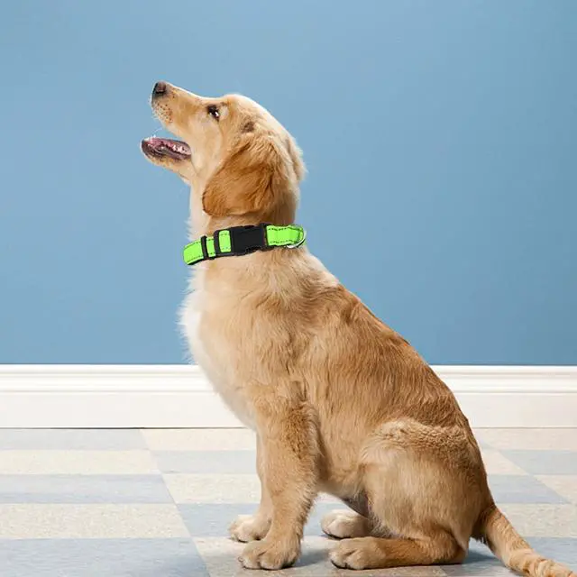 Alt view image 2 of 6 - Reflective Dog Collar, Adjustable Soft Neoprene Padded,Green,M | Breathable Nylon for Medium Dogs,Tear-Resistant Webbing,ChafeFree on Walks and Hikes,Metal D-Ring,Night Safety