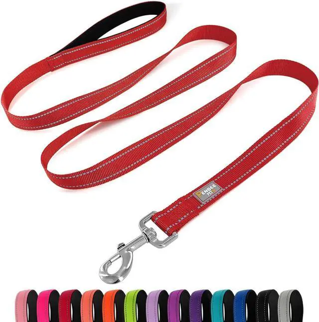 Main image of 6 FT Basic Dog Leash for Medium Dogs,Red | Padded Handle,Metal D-Ring,Heavy Duty Nylon Webbing, for Walking & Training