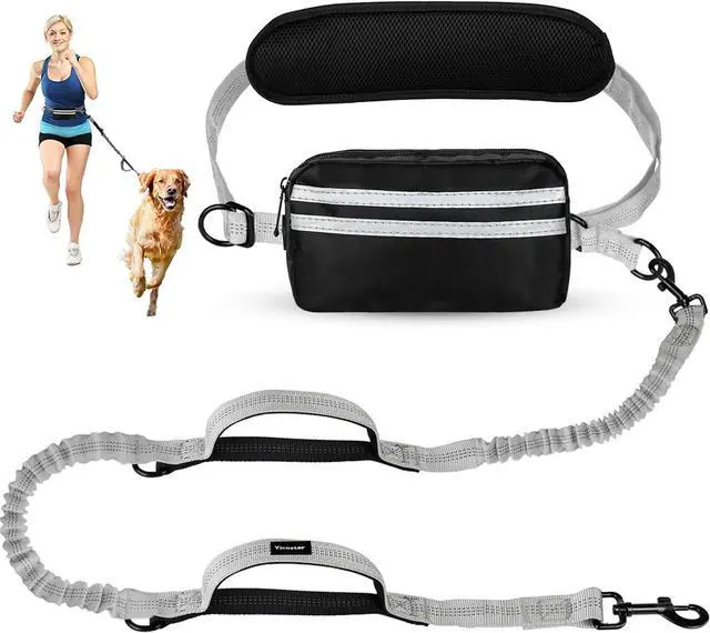 Main image of Hands Free Dog Leash with Pouch, Retractable Bungee with Double Padded Handles, Dog Leashes with Bungee for Medium & Large Puppy