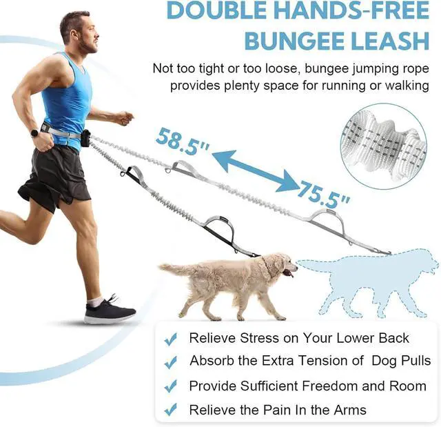 Alt view image 4 of 7 - Hands Free Dog Leash with Pouch, Retractable Bungee with Double Padded Handles, Dog Leashes with Bungee for Medium & Large Puppy