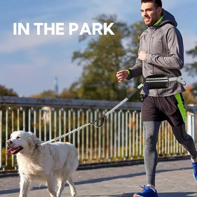 Alt view image 7 of 7 - Hands Free Dog Leash with Pouch, Retractable Bungee with Double Padded Handles, Dog Leashes with Bungee for Medium & Large Puppy
