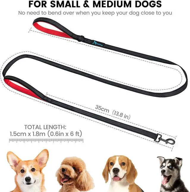 Alt view image 2 of 7 - Dog Leash for Small to Medium Dogs 6 ft with 3 Reflective Stitching and 2 Traffic Padded Handles Dog Lead/Rope, Pet Leash for Running Walking Training (6 ft x 0.6 in - Blue 1 Pack)