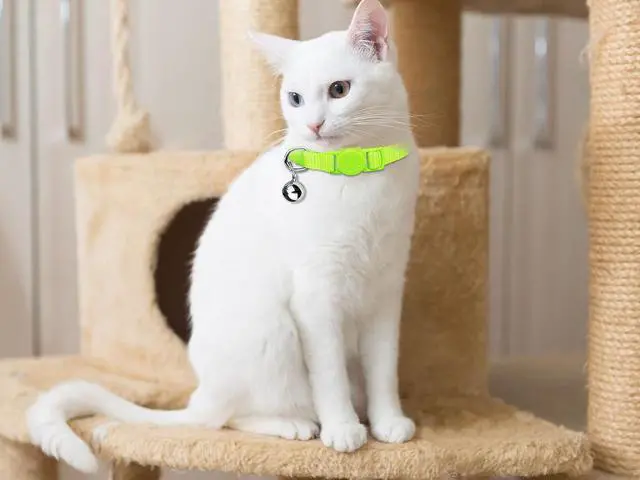 Alt view image 7 of 7 - 12 PCS Breakaway Cat Collars with Bell Colorful Soft Safety Buckle Cat Collars Adjustable Breakaway Kitten Collars Safety Collars for Cats
