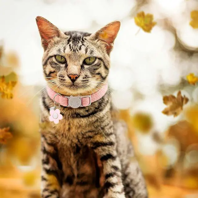 Alt view image 3 of 5 - 2 Pack Cat Collar with Bells, Corduroy Adjustable Kitten Collars with Breakaway Safety Buckle for Boy Girl Cats-Red Pink