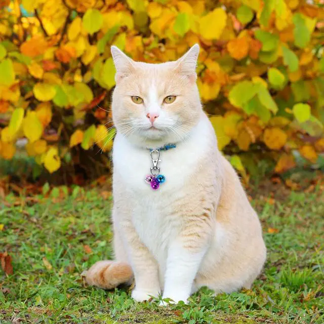 Alt view image 2 of 7 - Wontee Cat Collar Bells Loud Dog Bell Training Charm Pendants for Pet Puppy Kitty Necklace Collar