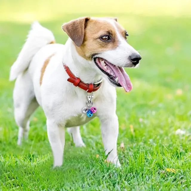 Alt view image 4 of 7 - Wontee Cat Collar Bells Loud Dog Bell Training Charm Pendants for Pet Puppy Kitty Necklace Collar