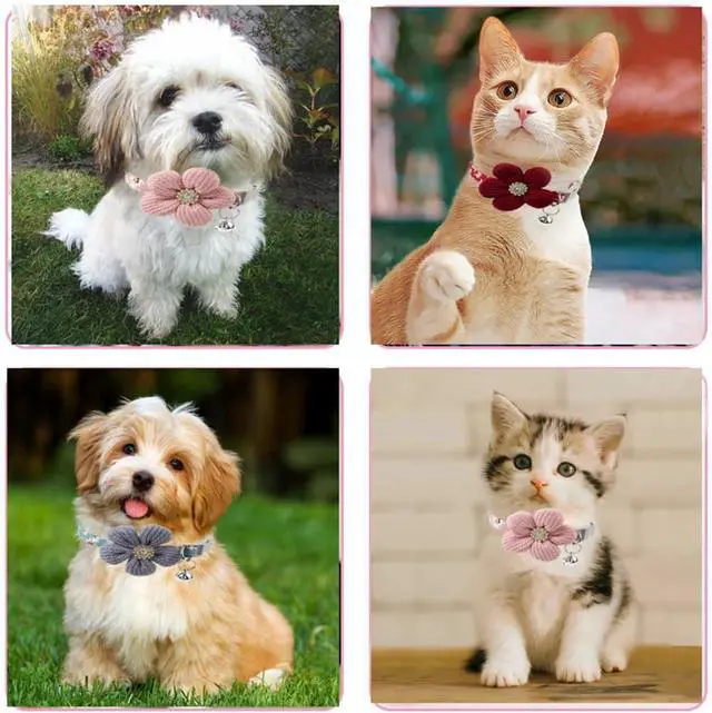 Alt view image 4 of 7 - Pink Puppy Collar with Bell, Girl Dog Collar Cute XS Dog Collar Bells Soft Cat Collars Adjustable for XXS XS Small Tiny Male Kitten Dogs Pet Animal