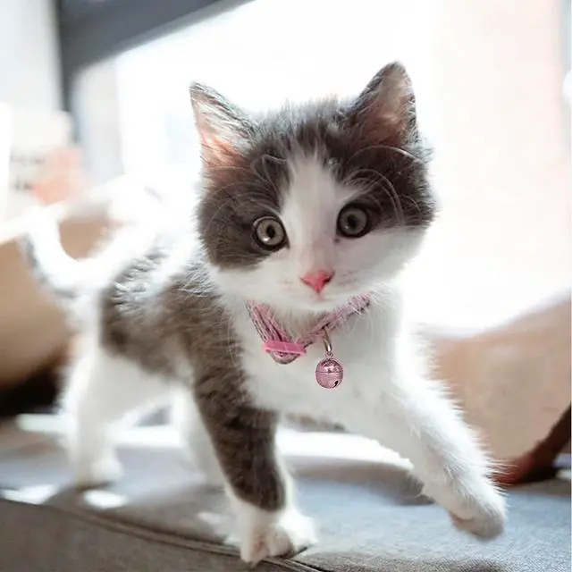 Alt view image 2 of 6 - Cat Bells, 4 Loud Copper Collar Bells for Cat Dog Pet Tracker Training(pink)