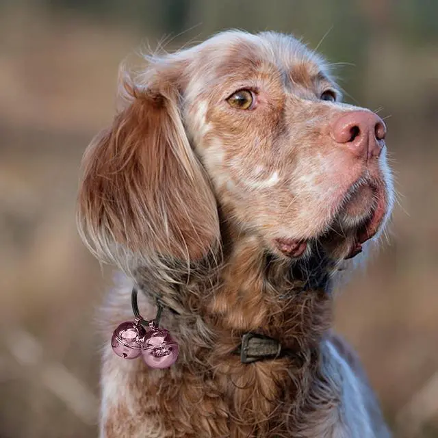 Alt view image 3 of 6 - Cat Bells, 4 Loud Copper Collar Bells for Cat Dog Pet Tracker Training(pink)