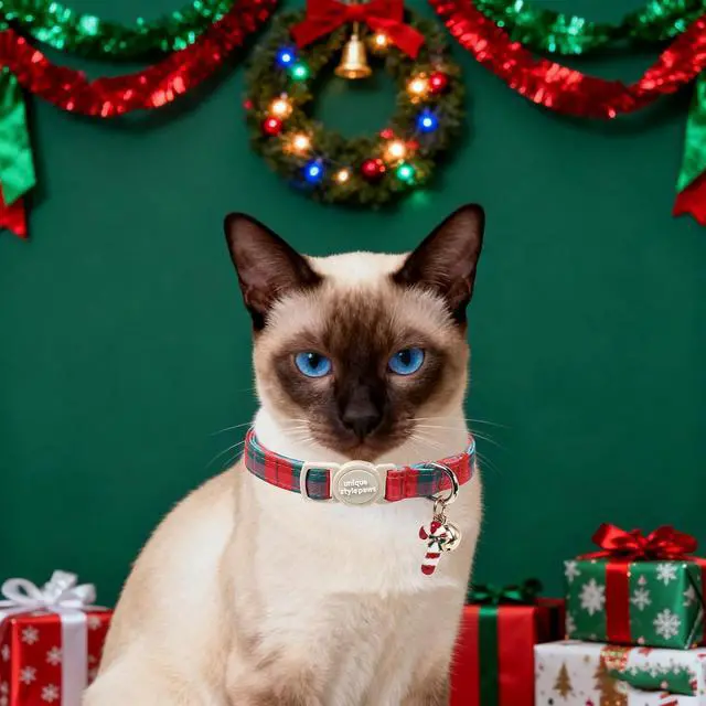 Alt view image 5 of 6 - Unique style paws 2 Pack Christmas Kitten Collar Breakaway with Bell&Pendant, Adjustable Safety Red Green Scottish Plaid Cat Cotton Collar for Girl Boy Cat and Small Pet
