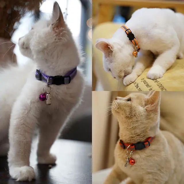 Alt view image 5 of 7 - Extodry 14 Pack Set Kitten Collars Breakaway with Bells,Reflective Safety Cat Collar,Ideal for Puppy, Girl Boy Cats,with Name Tag,Adjustable for Small Animal,Pet Supplies(12 Colors & 2 ID Tags)