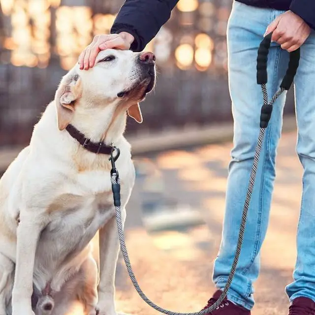 Alt view image 6 of 7 - MayPaw Heavy Duty Rope Dog Leash, 3/4/6/7/8/10/12/15/20/30 FT Nylon Pet Leash, Soft Padded Handle Thick Lead Leashes for Large Medium Dogs (Black, 1/2" * 4')
