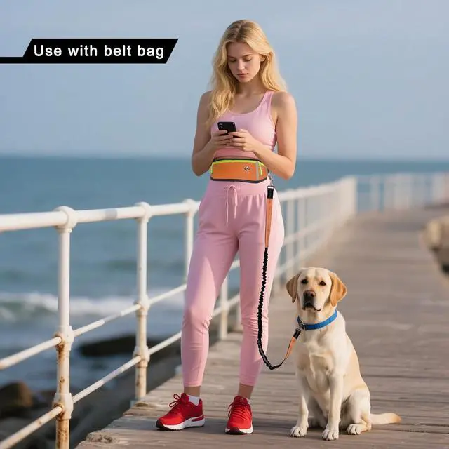 Alt view image 6 of 7 - Hands Free Dog Leash with Zipper Pouch,Reflective Dual Handles Retractable Bungee Waist Leash for Small and Medium Dog Walking, Jogging (Orange)