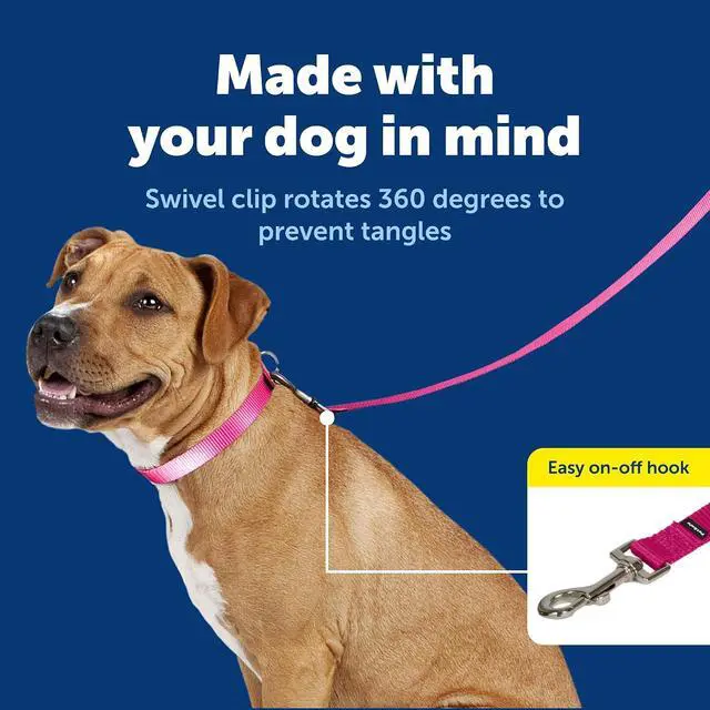 Alt view image 3 of 7 - PetSafe Nylon Dog Leash, Raspberry Pink, 3/4 in x 4 ft | Durable Nylon Leash with Easy on/off Bolt Snap Hook, Pairs Perfectly with Easy Walk Harness and Gentle Leader Headcollar