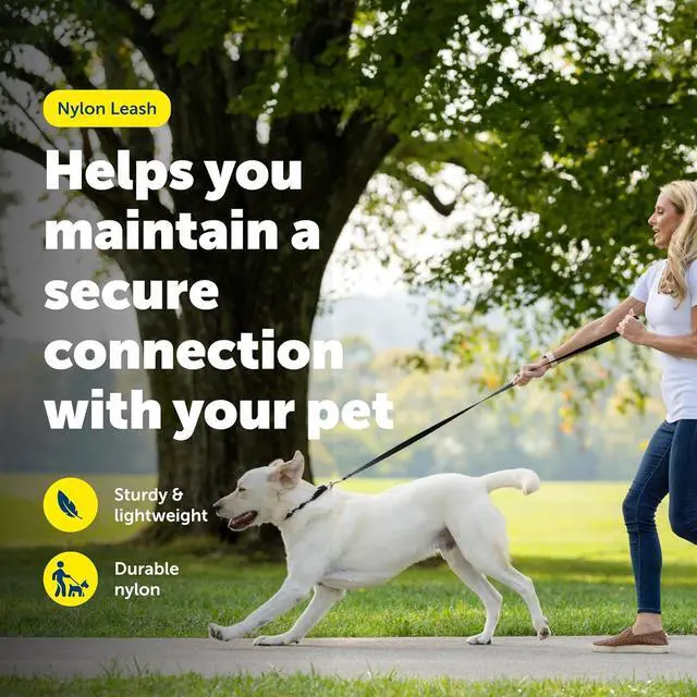 Alt view image 2 of 7 - PetSafe Nylon Dog Leash, Raspberry Pink, 3/4 in x 4 ft | Durable Nylon Leash with Easy on/off Bolt Snap Hook, Pairs Perfectly with Easy Walk Harness and Gentle Leader Headcollar
