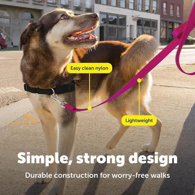Alt view image 4 of 7 - PetSafe Nylon Dog Leash, Raspberry Pink, 3/4 in x 4 ft | Durable Nylon Leash with Easy on/off Bolt Snap Hook, Pairs Perfectly with Easy Walk Harness and Gentle Leader Headcollar