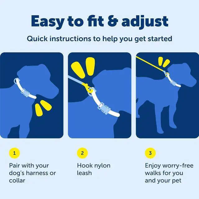 Alt view image 6 of 7 - PetSafe Nylon Dog Leash, Raspberry Pink, 3/4 in x 4 ft | Durable Nylon Leash with Easy on/off Bolt Snap Hook, Pairs Perfectly with Easy Walk Harness and Gentle Leader Headcollar