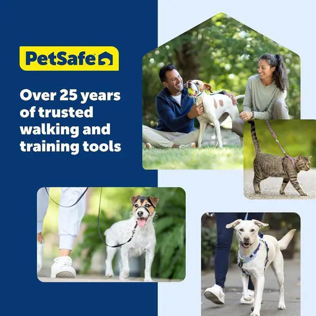 Alt view image 7 of 7 - PetSafe Nylon Dog Leash, Raspberry Pink, 3/4 in x 4 ft | Durable Nylon Leash with Easy on/off Bolt Snap Hook, Pairs Perfectly with Easy Walk Harness and Gentle Leader Headcollar