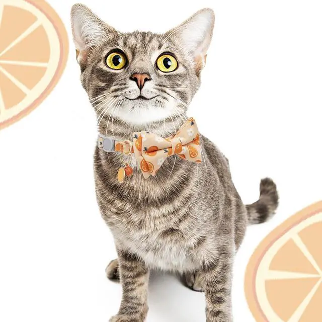 Alt view image 7 of 7 - Faygarsle 2 Pack Cute Cats Collars with Bell Breakaway Bowtie Cat Collar for Male Female Cats Soft Fancy Orange Yellow Cat Collars Pineapple Orange Pattern Summer Cat Collar for Boy Girl Cats