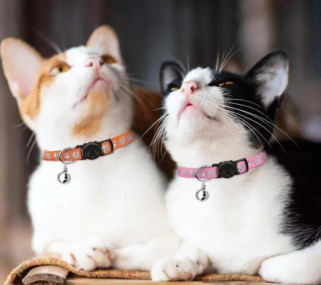 Alt view image 7 of 7 - 16 PCS Breakaway Cat Collars with Bells Reflective Cat Collar Safety Nylon Kitten Collars Cat Collars for Girl Boy Cats(6"-9")