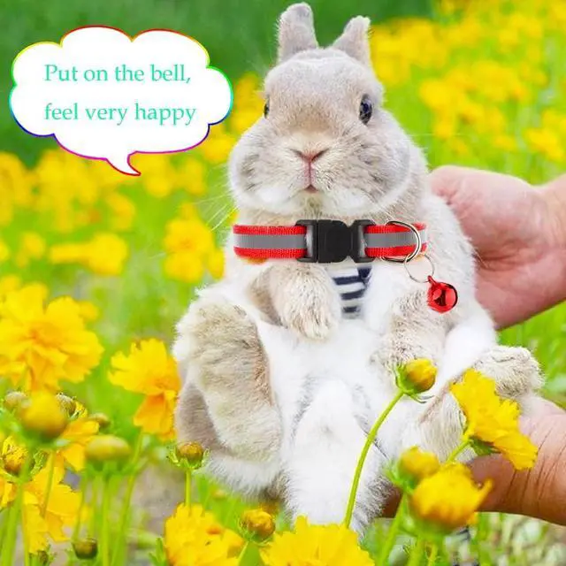 Alt view image 2 of 4 - 4 Pack Rabbit Adjustable Collars with Bell, Guinea Pig Dragon Luminous Collar, Small Animal Exercise and Interaction Accessories
