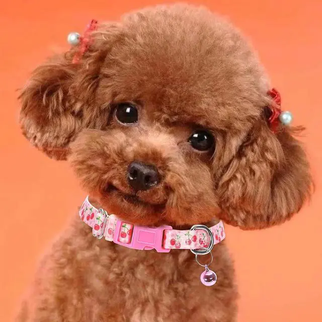 Alt view image 4 of 7 - Cute Dog Collar with Bell,Pink Puppy Collar Tiny Cat Collars(Cherry XS) | Small dog collar with bell,Adjustable & Lightweight for XS & S Dogs, Comfortable & Safe for Everyday Use