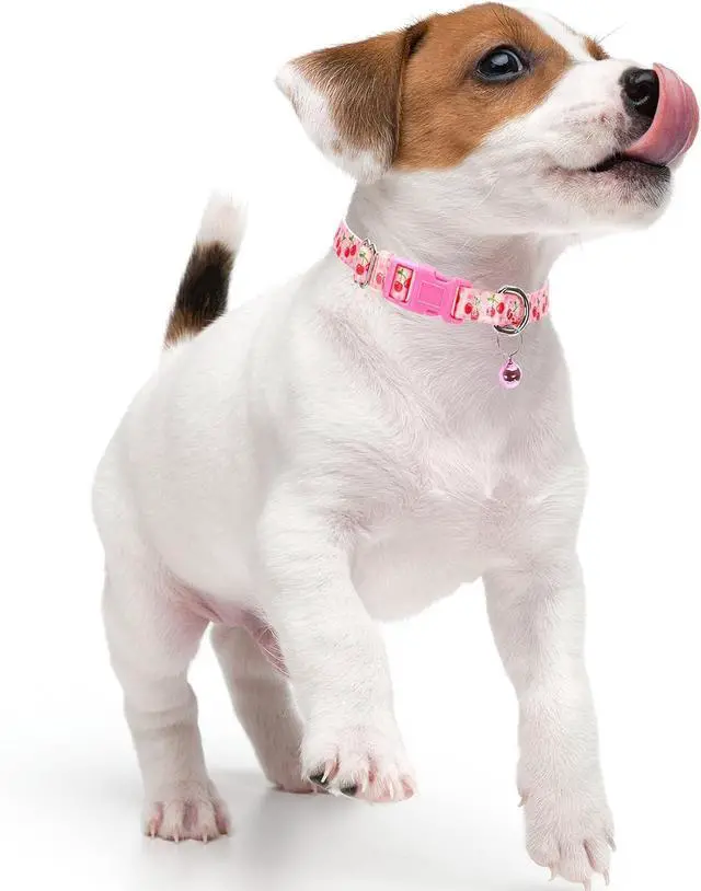 Alt view image 6 of 7 - Cute Dog Collar with Bell,Pink Puppy Collar Tiny Cat Collars(Cherry XS) | Small dog collar with bell,Adjustable & Lightweight for XS & S Dogs, Comfortable & Safe for Everyday Use