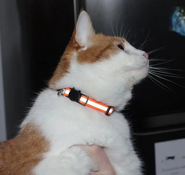 Alt view image 2 of 7 - Reflective Cat Collar with Bell, Set of 6, Solid & Safe Collars for Cats, Nylon, Mixed Colors, Pet Collar, Breakaway Cat Collar
