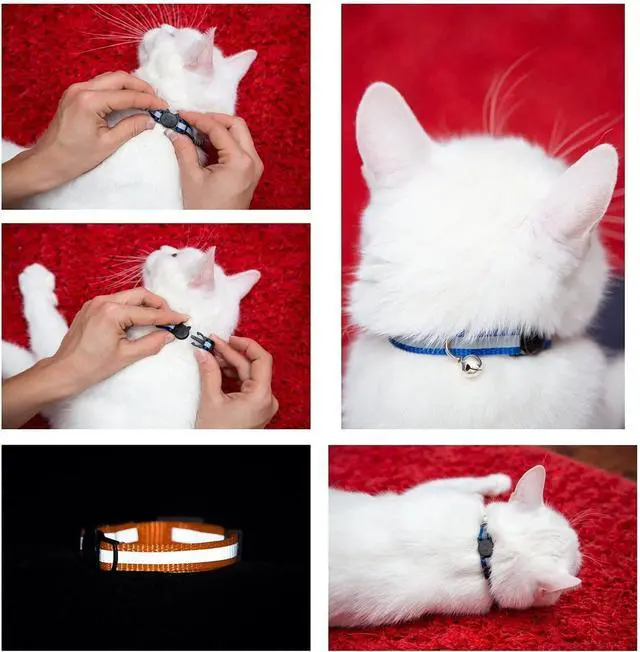 Alt view image 3 of 7 - Reflective Cat Collar with Bell, Set of 6, Solid & Safe Collars for Cats, Nylon, Mixed Colors, Pet Collar, Breakaway Cat Collar