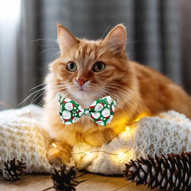Alt view image 6 of 7 - 2 Pack Christmas Cat Collar with Bow Tie and Bell, Kitty Kitten Santa Claus and Holiday Snowflake Collar for Boys and Girls
