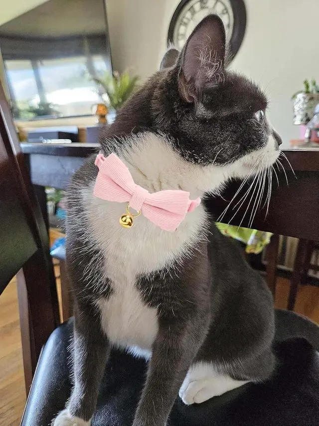 Alt view image 6 of 7 - 2 Pack Soft Corduroy Cat Collars with Bow Tie & Bell Adjustable Breakaway Kitten Bowtie Collar for Female Male Cats(Grass Green & Pink)