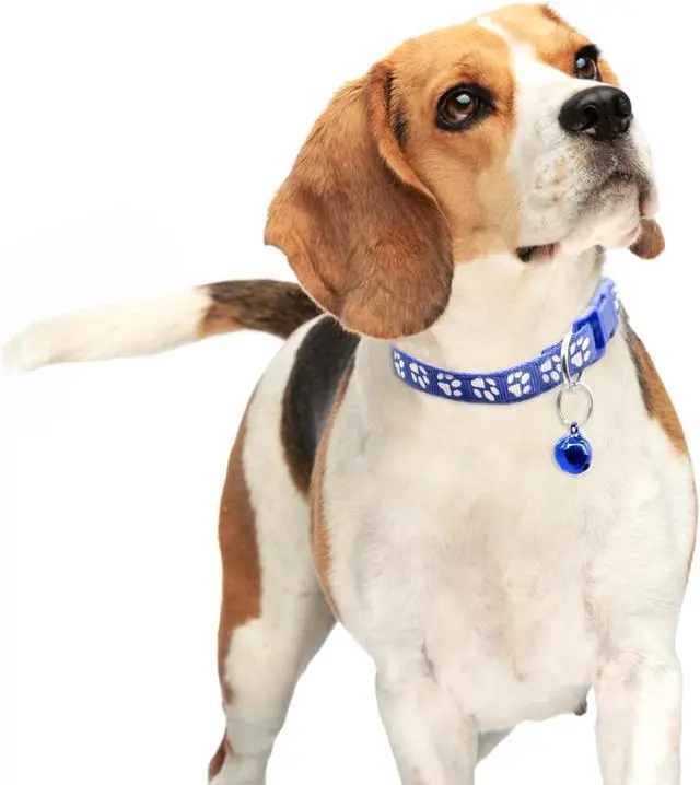 Alt view image 4 of 7 - Quacc 6 PCS Puppy Collars with Bell, for Small Dog Cats, 19-32 cm | Dog Collars with Bell, Puppy Whelping Collars, Colourful Identifiable, Adjustable Size
