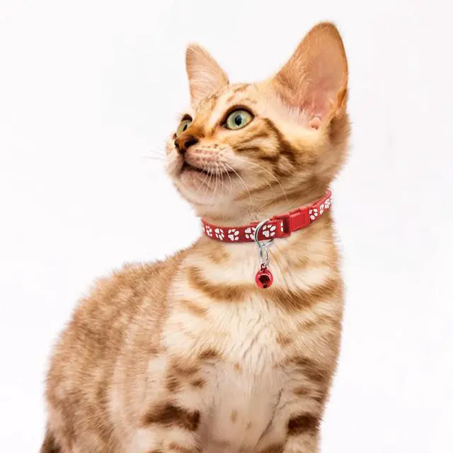 Alt view image 5 of 7 - Quacc 6 PCS Puppy Collars with Bell, for Small Dog Cats, 19-32 cm | Dog Collars with Bell, Puppy Whelping Collars, Colourful Identifiable, Adjustable Size