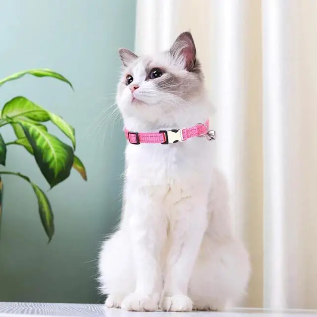 Alt view image 3 of 7 - Pink Puppy Collar with Bell, Reflective Nylon XS Cat XXS Dog Collars XSmall | Soft Adjustable Buckle for XXS XSmall Extra Small Dogs Tiny Pets Cats Boy Girl Female Male Kitten Yorkie Teacup Chihuahua