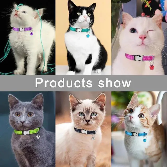 Alt view image 7 of 7 - Pink Puppy Collar with Bell, Reflective Nylon XS Cat XXS Dog Collars XSmall | Soft Adjustable Buckle for XXS XSmall Extra Small Dogs Tiny Pets Cats Boy Girl Female Male Kitten Yorkie Teacup Chihuahua