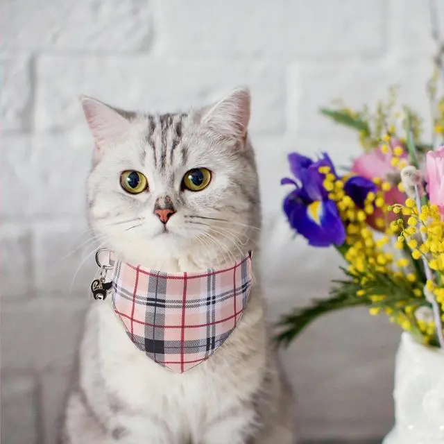 Alt view image 2 of 7 - SCENEREAL Plaid Cat Collar with Bow Bandana - 2 Pack Breakaway Kitten Collar with Removable Bowtie Bell, Adjustable Cute Cat Collar for Cats Kittens, Beige