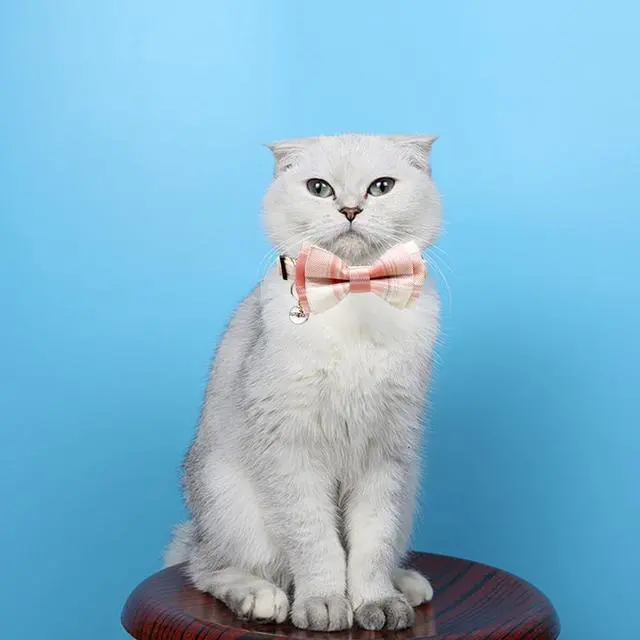 Alt view image 5 of 6 - Plaid Cat Collar with Bow Tie Bell Breakaway Daisy Kitten Collars Adjustable with Removable Bowtie 2 Pack Flower Safety Collar for Spring Summer Autumn Pink & Blue
