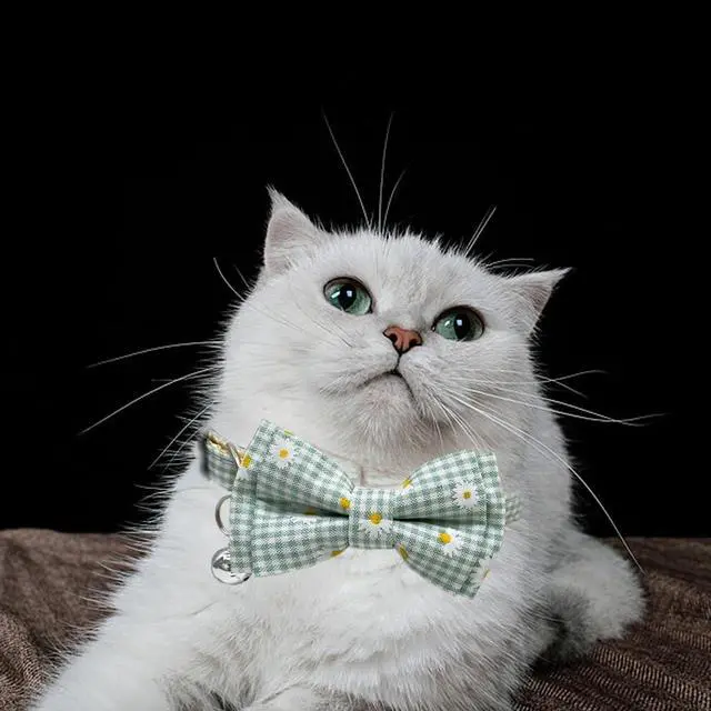 Alt view image 6 of 6 - Plaid Cat Collar with Bow Tie Bell Breakaway Daisy Kitten Collars Adjustable with Removable Bowtie 2 Pack Flower Safety Collar for Spring Summer Autumn Pink & Blue