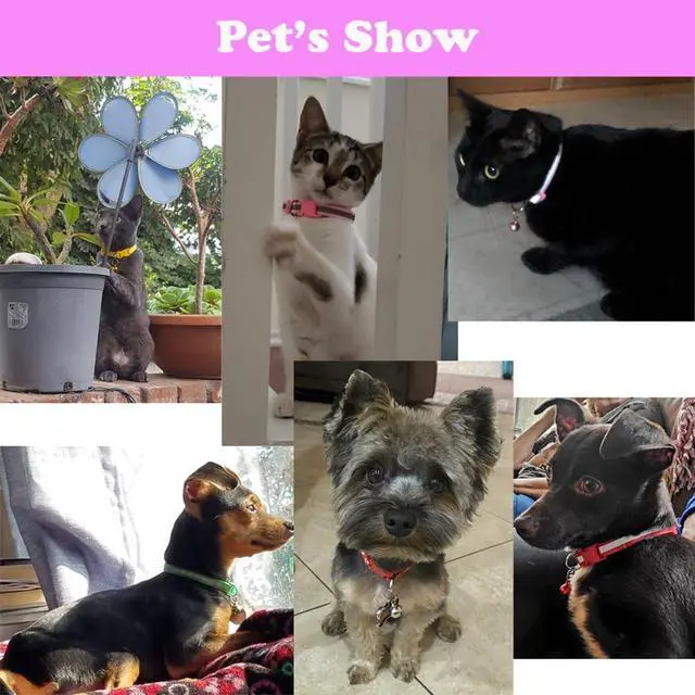 Alt view image 3 of 6 - XS Dog Collar with Bell,2 PCS Reflective Small Puppy Cat Collar Bell Purple | Purple Puppy Collars with Bells Paw & Reflective Girl Female Boy Cat Small Dog Bell Collar for XS XSmall X-Small Pets