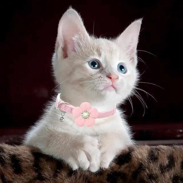 Alt view image 7 of 7 - Cat Collar, HANSHILAI Kitten Collar with Bells, Cute Cat Collar Breakaway for Girl Boy with Flower,Collar para Gatos (Rhinestones Yellow & Pink & Orange & Purple)