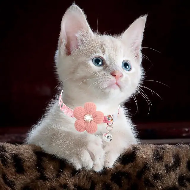 Alt view image 7 of 7 - Cat Collar, HYQHYX Breakaway Kitten Collar with Flower,Rhinestone Kitty Collar with Bell, Floral Pet Collar with Safety Buckle for Cats and Puppy Dog