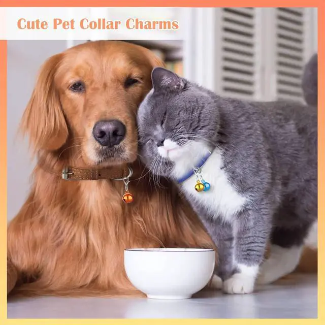 Alt view image 6 of 7 - FUYIHGL® 10PCS Pet Bells for Dog Cat | Small Collar Charms Bell with Loud Crisp Sound - Metal Corlorful Jingle Bell - Gifts for Pet Lovers Christmas Decoration