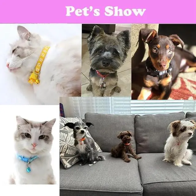 Alt view image 6 of 6 - Purple Cat Collar and Leash with Bell Set, Kitten Collars with Bell XXS Dog Collar Reflective Dog Collar Leash Set with Bell, Basic Nylon Boy Girls Pet Collar Adjustable for XXS XS S Tiny Puppies