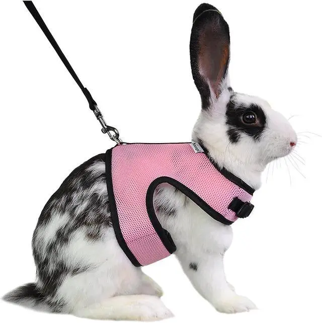 Main image of Niteangel Adjustable Soft Harness with Elastic Leash for Rabbits (L, Pink)