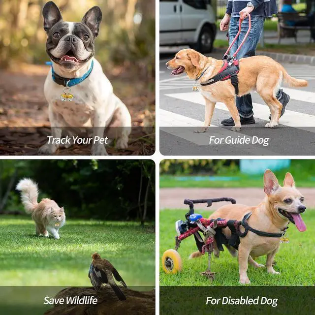 Alt view image 4 of 6 - Bells for Dog Collars with Easy Clip Clasps, Suitable for Medium to Large Dogs, Extra Loud Pet Tracker, Durable Collar Charms (Gold & Silver, 2 Pack)