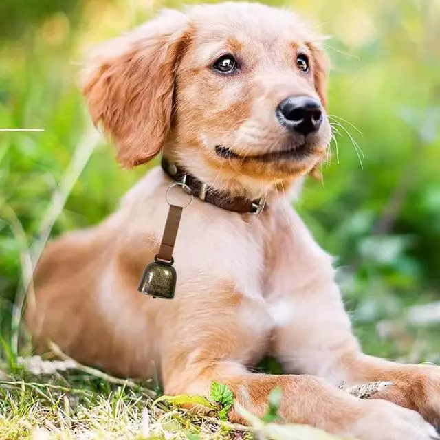 Alt view image 4 of 7 - 4 PCS Loud Bear Bells with Leather Button Strap Dog Collar Bell Pet Bells Tracker Noise Maker Anti-theft Bell Strap and Pet Anti- Lost Silver Pendant ID Tags for Pet Pendant Accessories Decorative